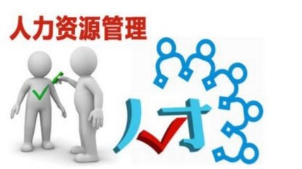 人力資源管理專業與人力資源服務 從理論到實踐的全面解析